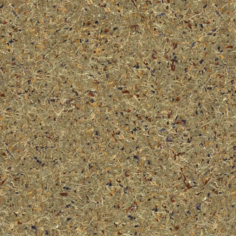 SkinDock Botanik Herbstlaub – Musterfläche